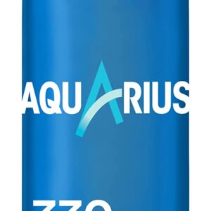 Aquarius Limon Can 33 cl